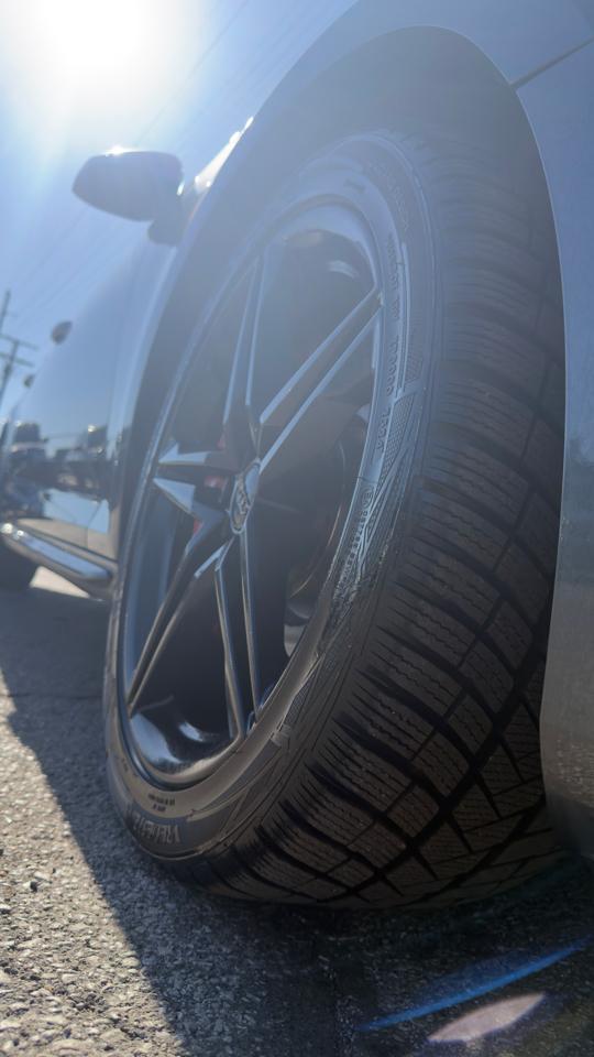 Audi S4 Premium Plus 3.0 TFSI quattro 2019