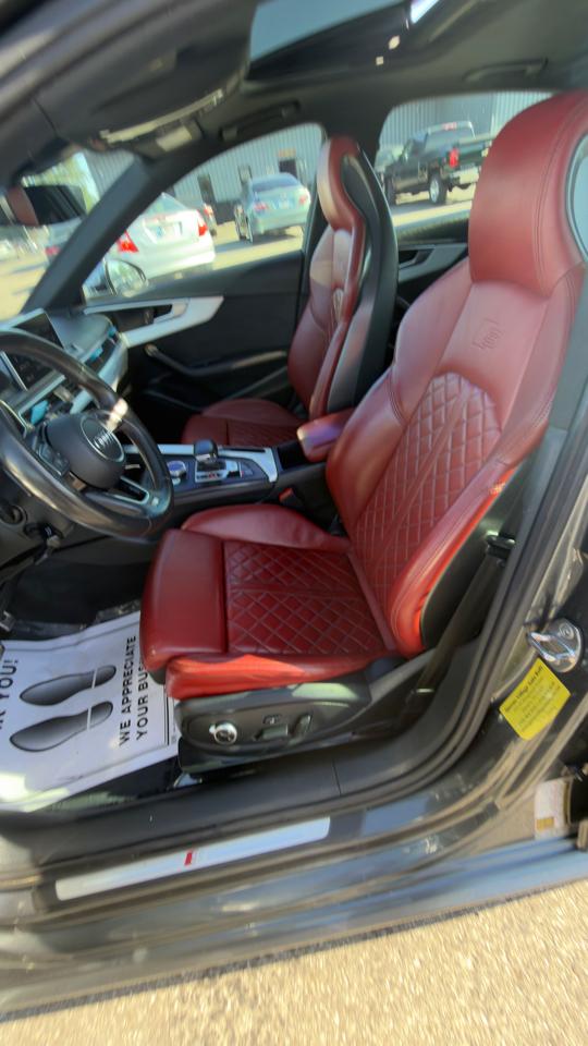 Audi S4 Premium Plus 3.0 TFSI quattro 2019