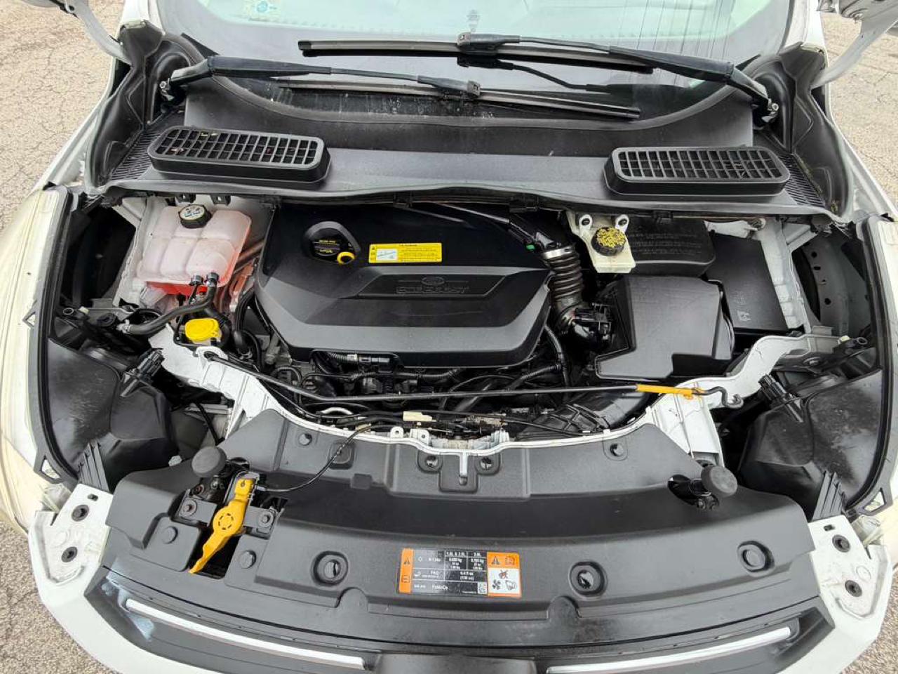 Ford Escape 4WD 4dr SE 2013