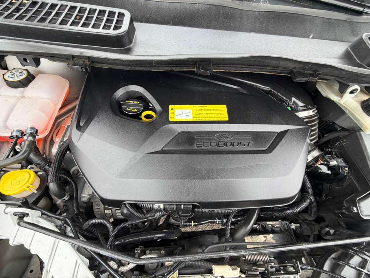 Ford Escape 4WD 4dr SE 2013