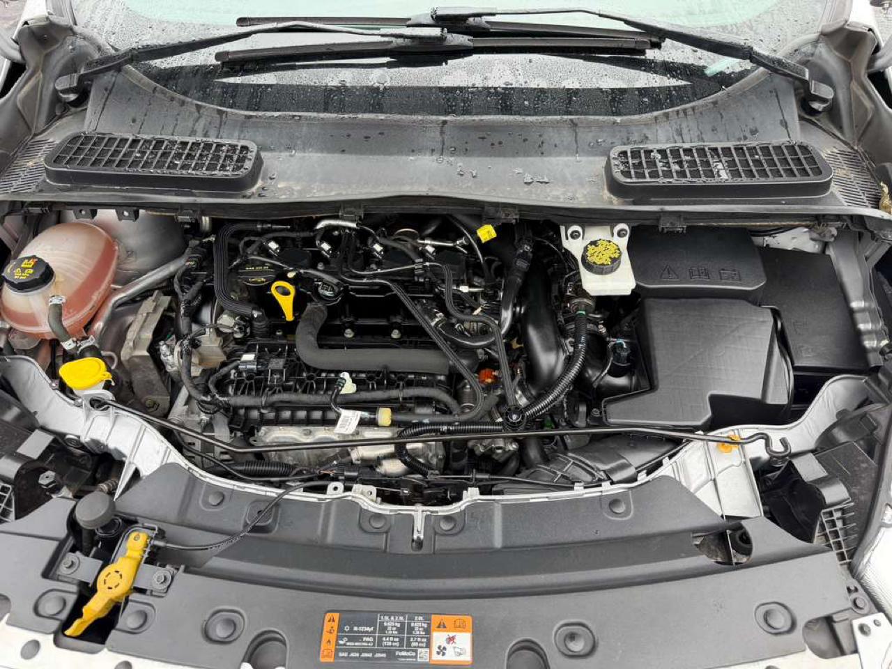 Ford Escape SE 4WD 2019