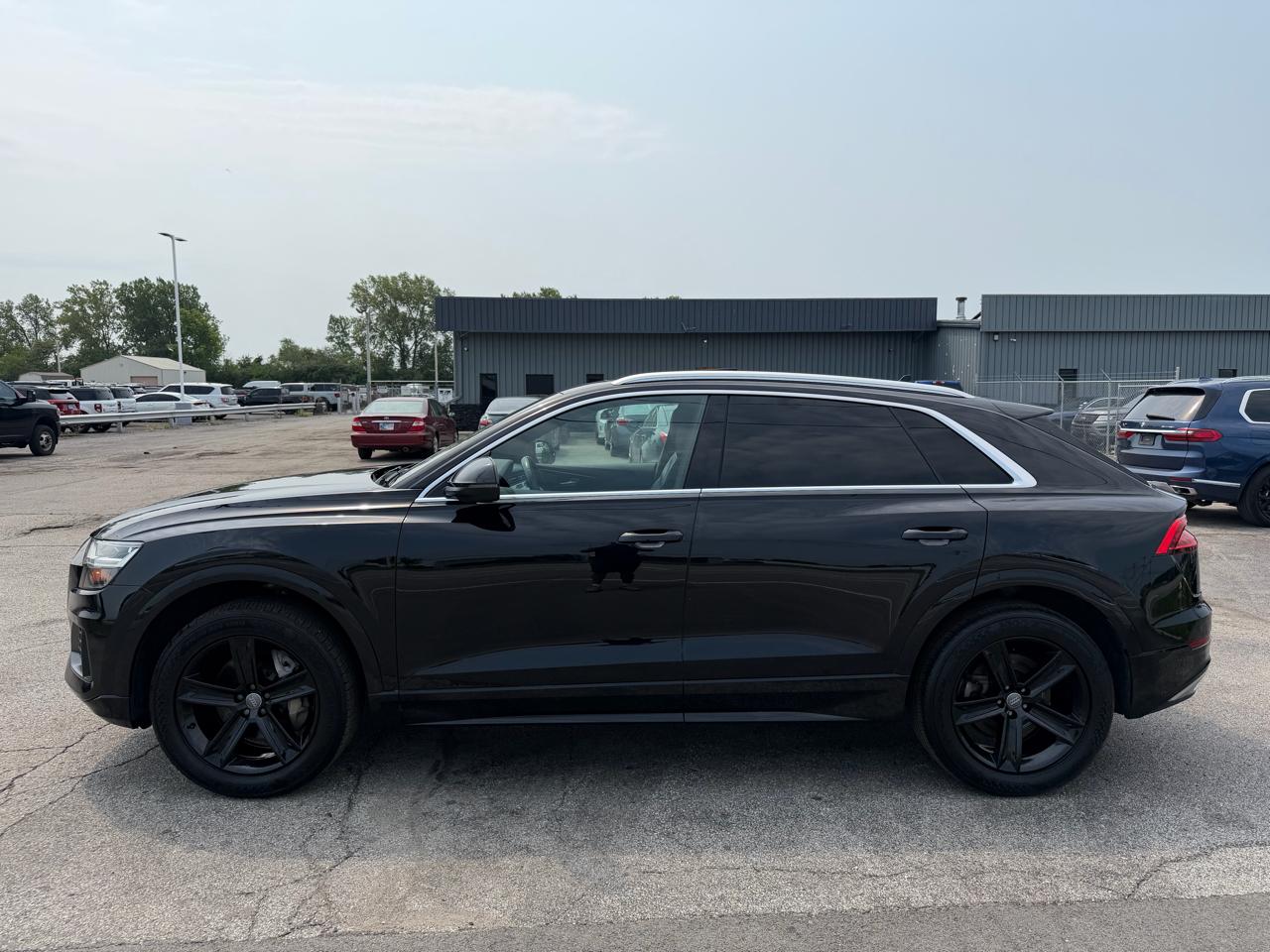 Audi Q8 Premium 55 TFSI quattro 2019