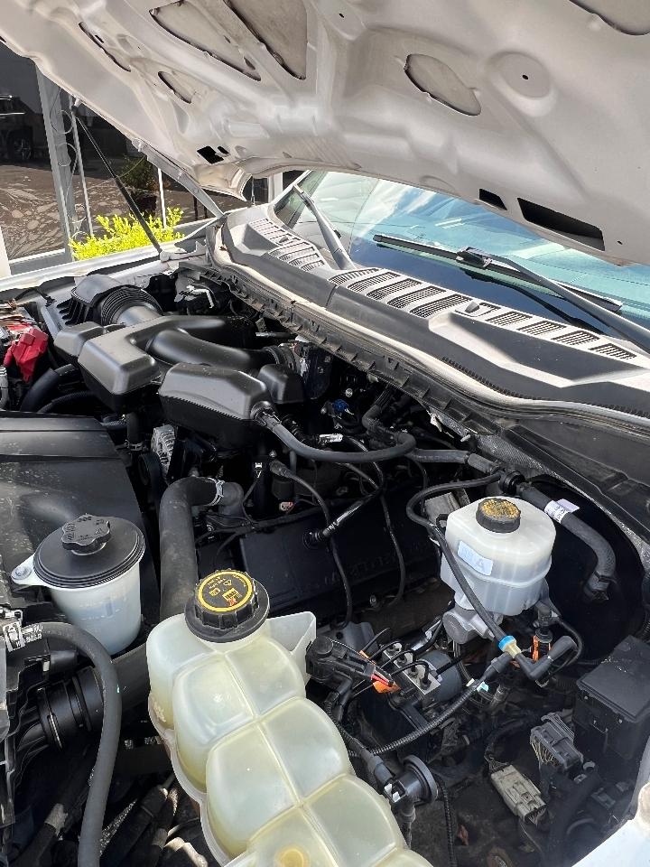 Ford Super Duty F-250 SRW XLT 4WD Crew Cab 8' Box 2019