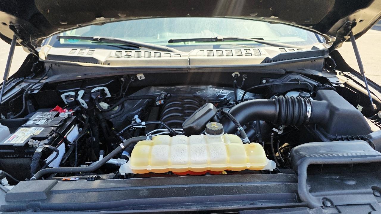 Ford F-150 XLT 4WD SuperCrew 5.5' Box 2018