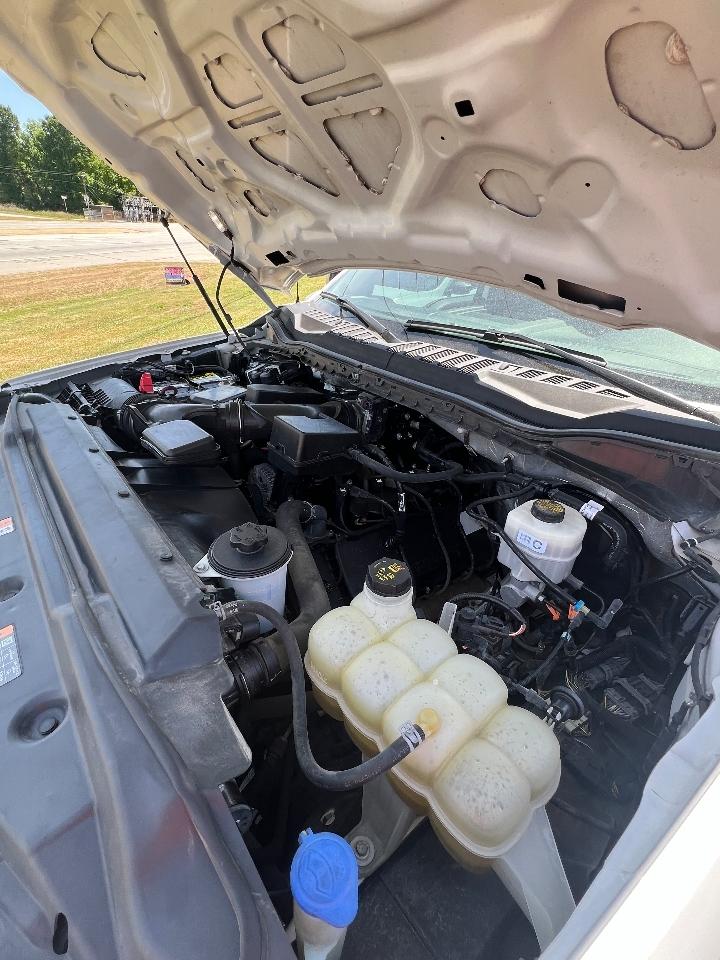 Ford Super Duty F-250 SRW XLT 4WD Crew Cab 8' Box 2021