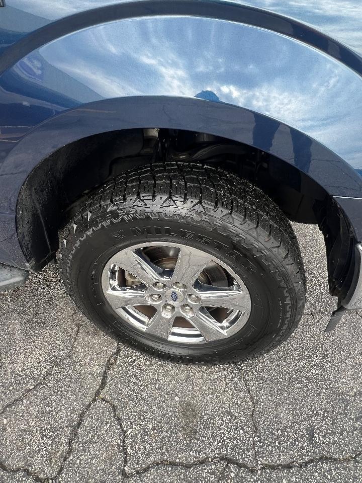 Ford F-150 FX4 SuperCrew 5.5-ft. Bed 4WD 2019