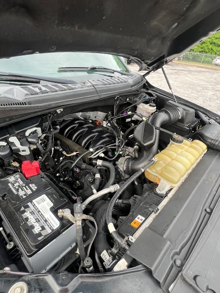 Ford F-150 FX4 SuperCrew 5.5-ft. Bed 4WD 2019