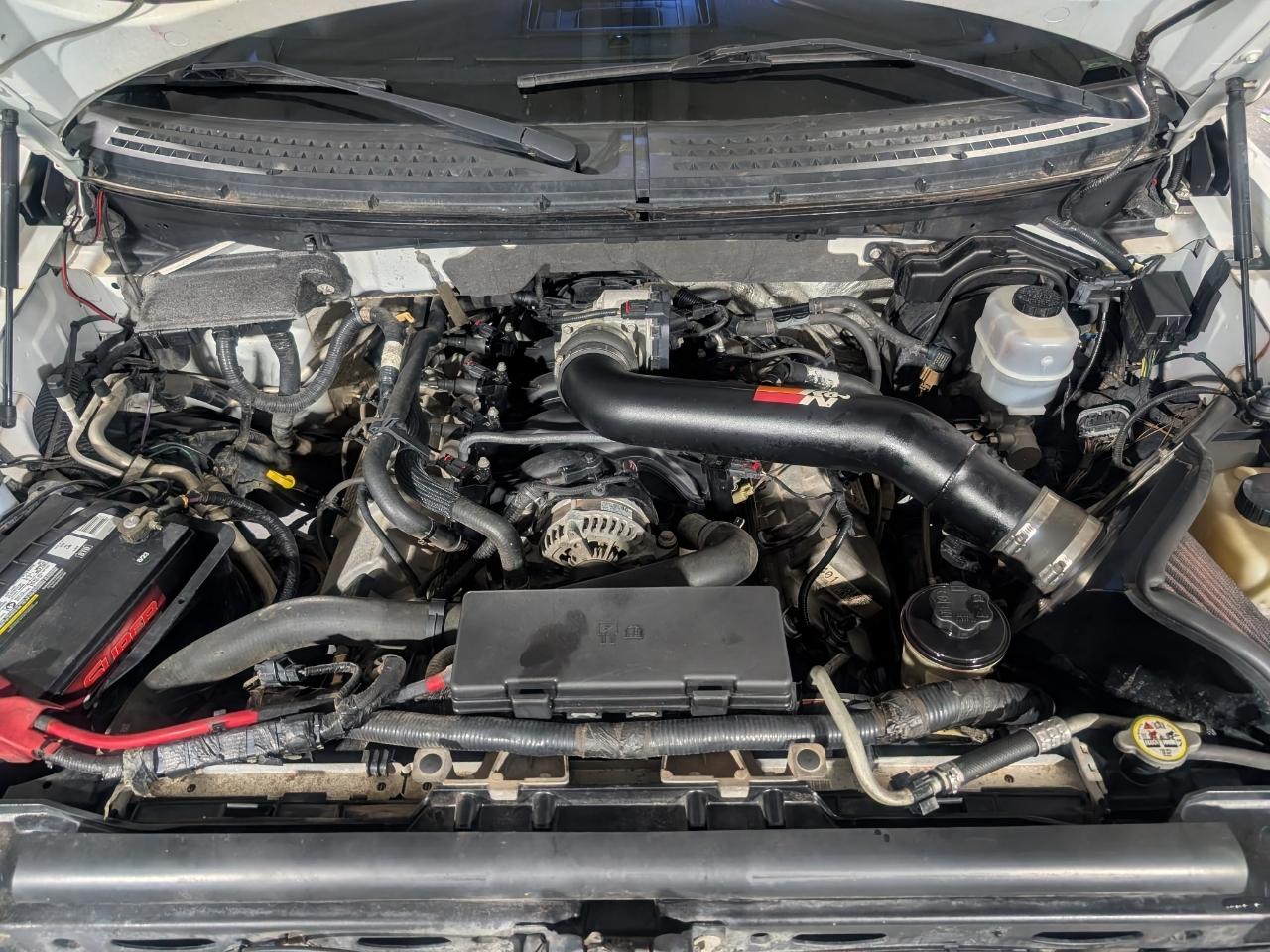 Ford F-150 4WD SuperCrew 145" SVT Raptor 2011