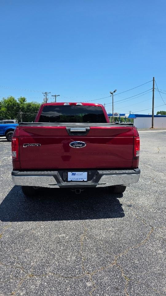 Ford F-150 2WD SuperCrew 157" XLT 2015