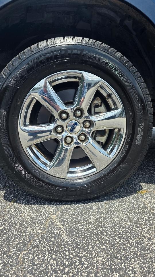 Ford F-150 XLT 2WD SuperCrew 5.5' Box 2019