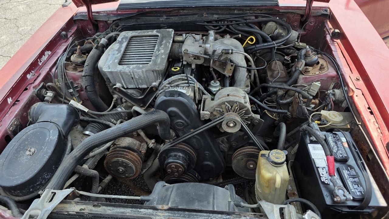 Ford Mustang SVO Turbo 1984