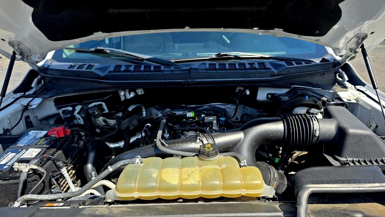 Ford F-150 XLT 4WD SuperCrew 5.5' Box 2020