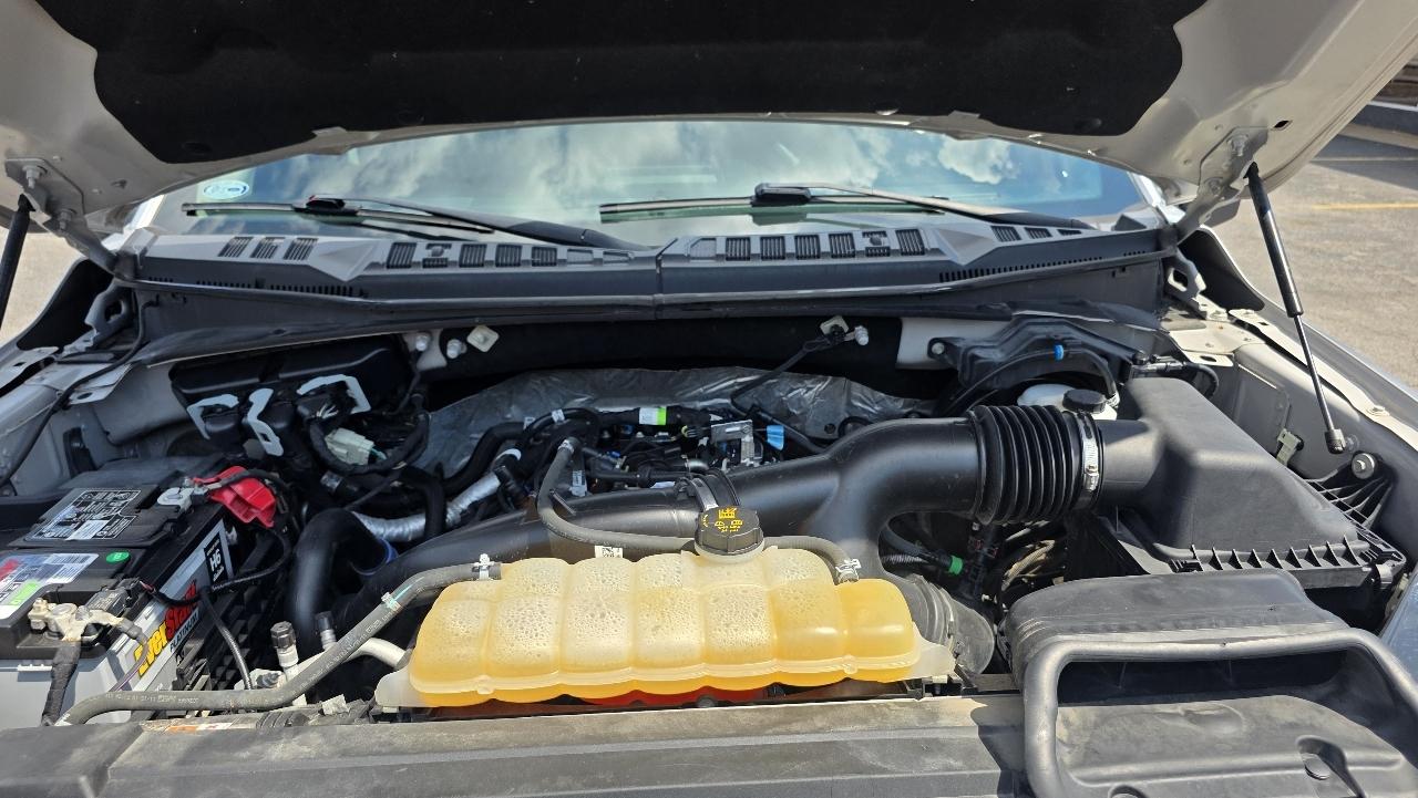 Ford F-150 XLT 4WD SuperCrew 5.5' Box 2019