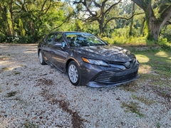 2019 Toyota Camry  2019 Toyota Camry