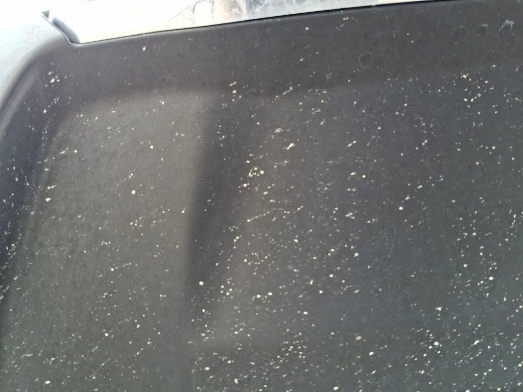 Nissan Rogue FWD SV 2019