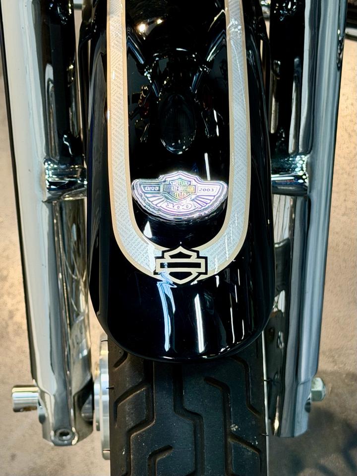 Harley-Davidson XL 1200  2003