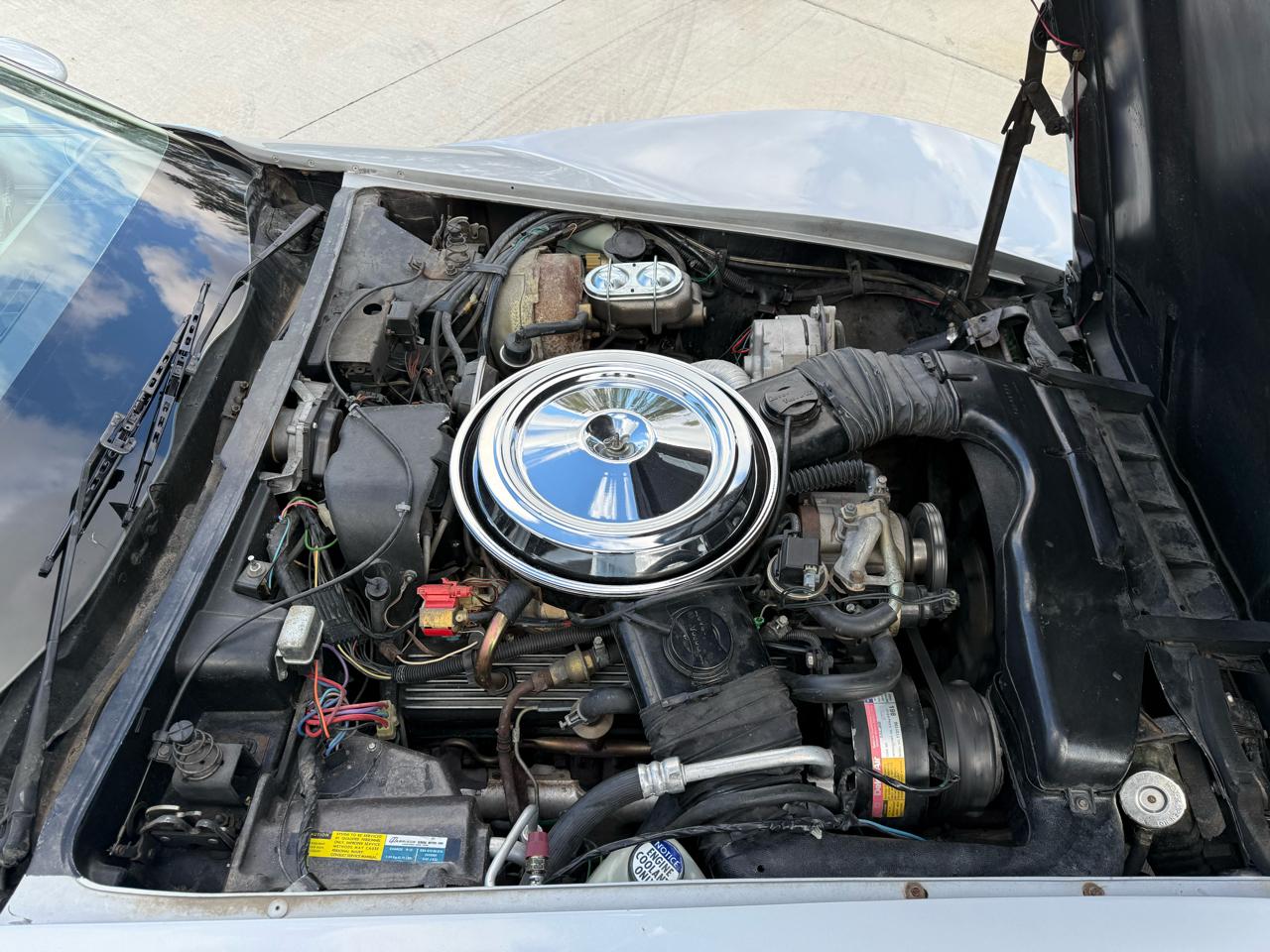 Chevrolet Corvette Coupe 1981