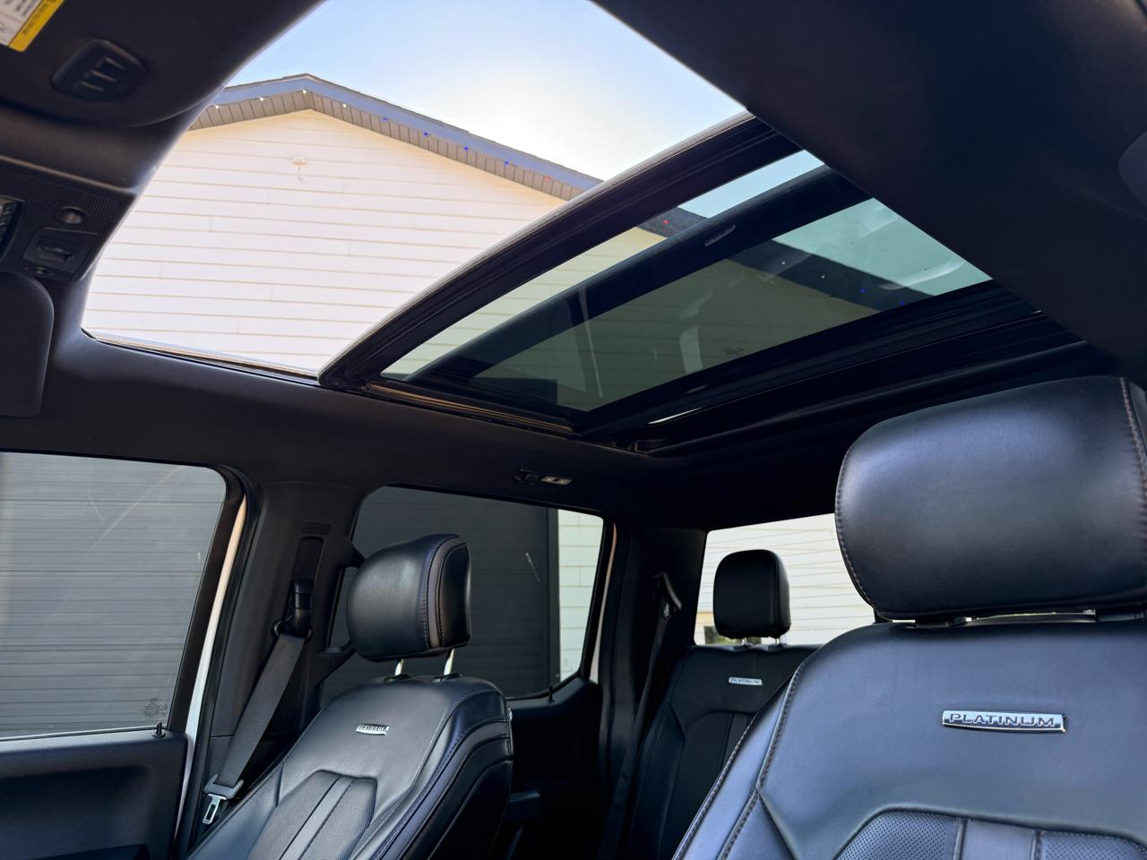 Ford F-250 SD Platinum Crew Cab 4WD 2019
