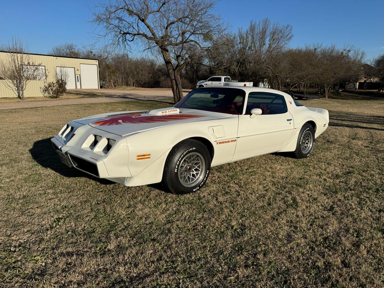1979 Pontiac Firebird Trans Am 