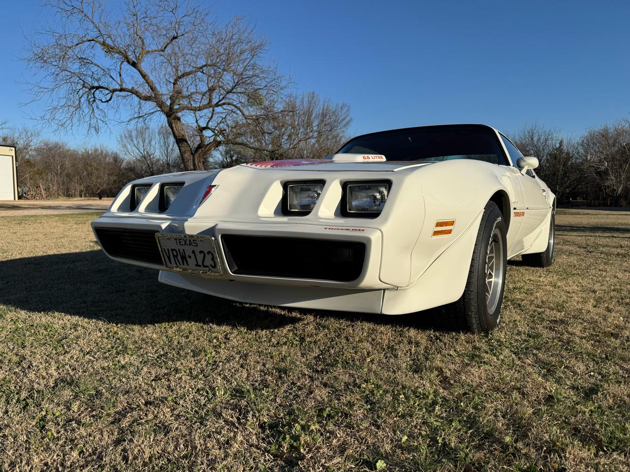 Pontiac Firebird Trans Am  1979