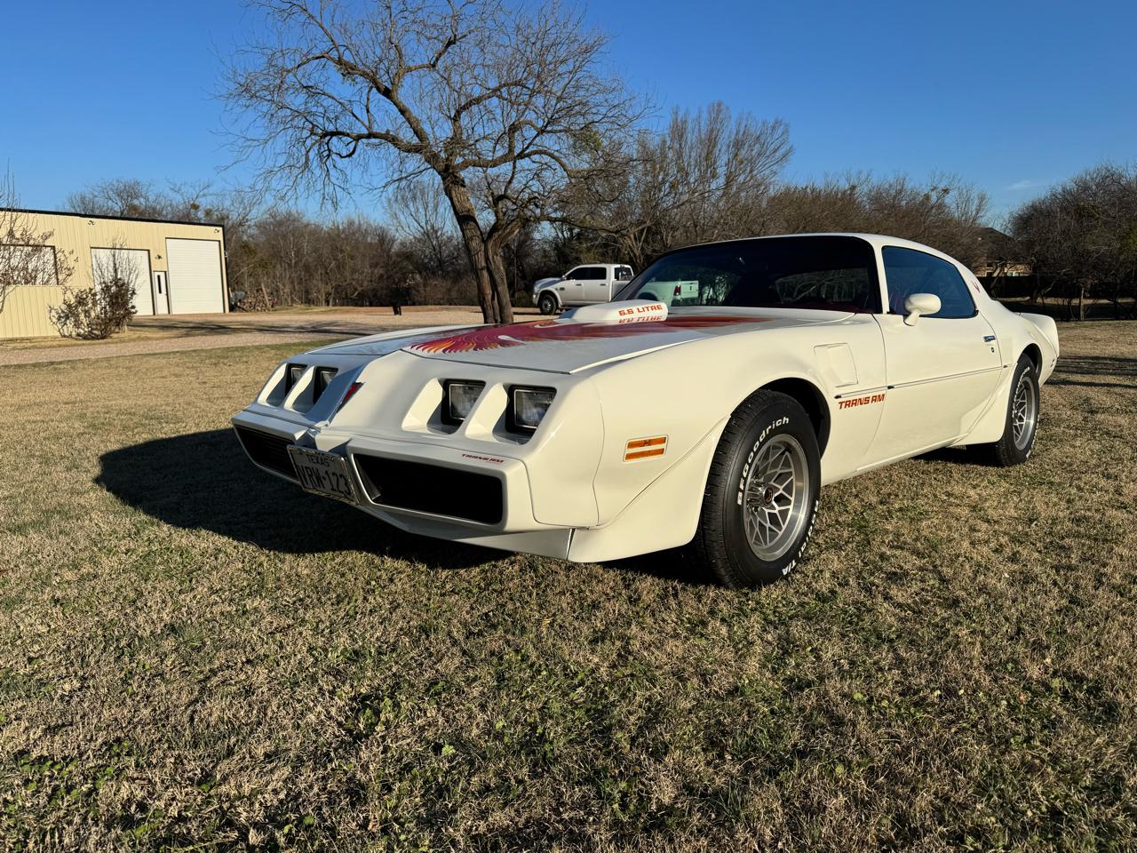 Pontiac Firebird Trans Am  1979
