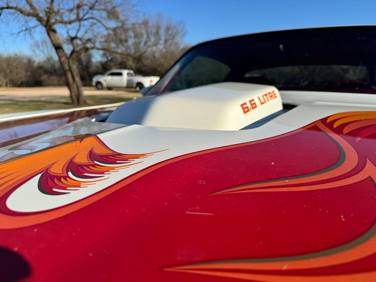 Pontiac Firebird Trans Am  1979