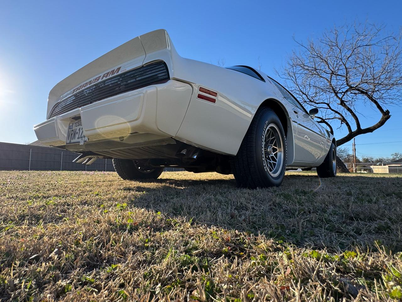 Pontiac Firebird Trans Am  1979