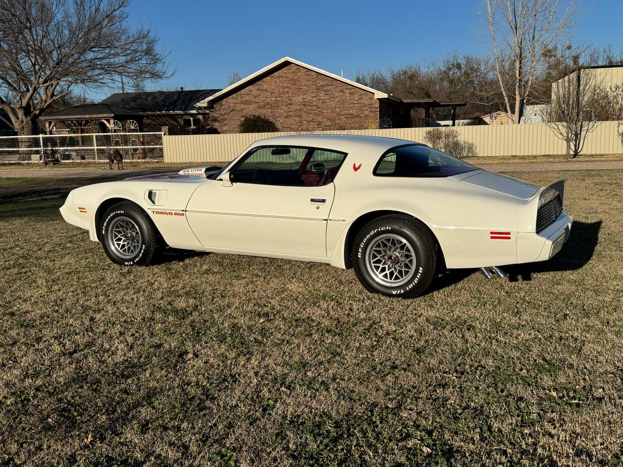 Pontiac Firebird Trans Am  1979
