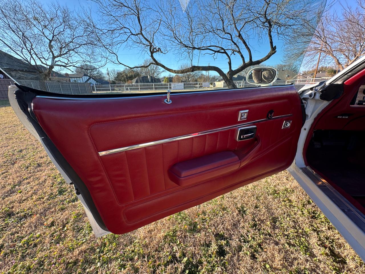 Pontiac Firebird Trans Am  1979