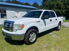 2010 Ford F-150 
