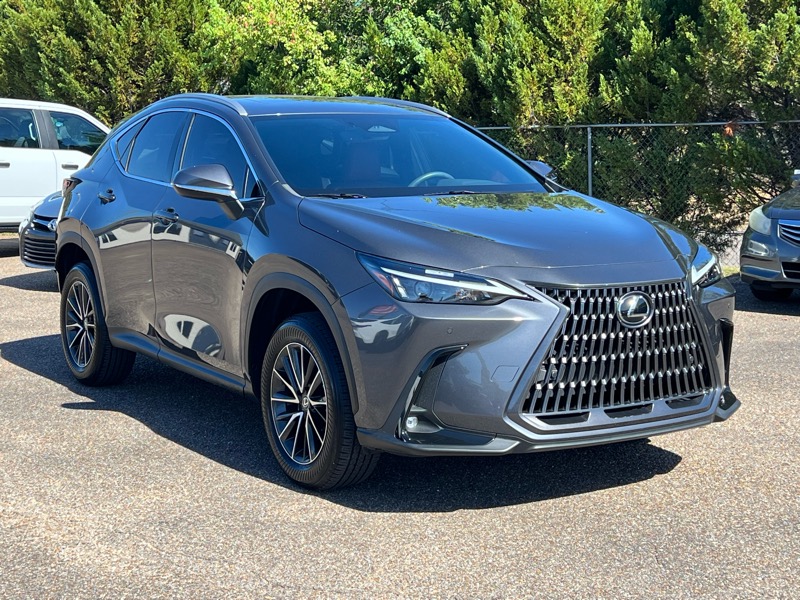 2024 Lexus NX 350 Premium photo 4