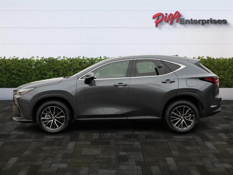 Lexus NX  2024