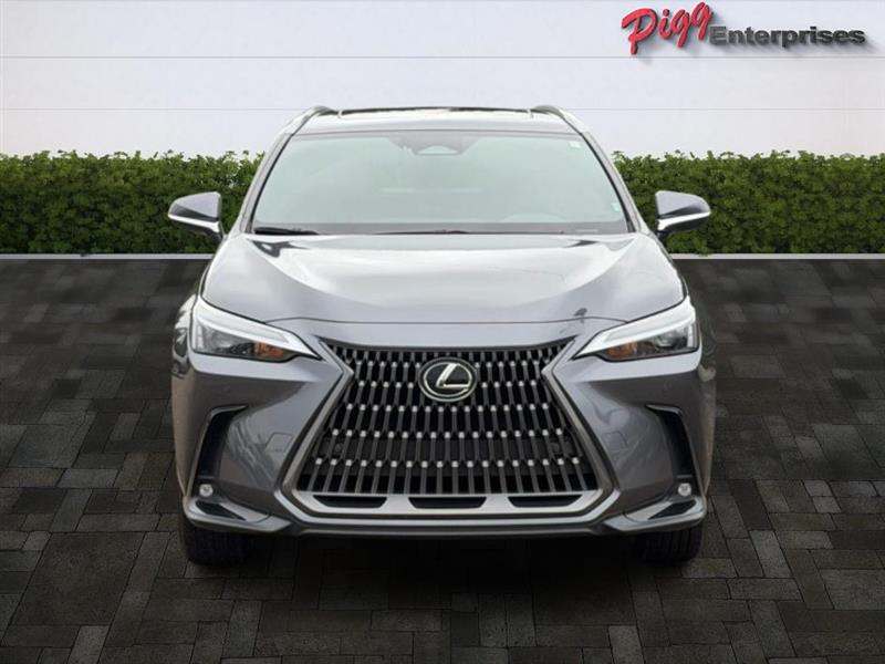 Lexus NX  2024