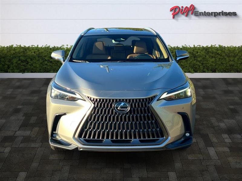 Lexus NX  2025