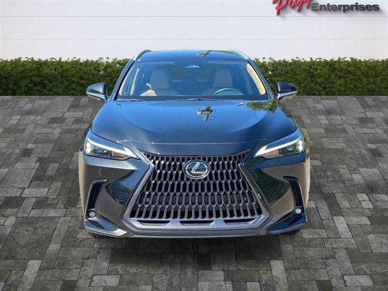 Lexus NX  2025