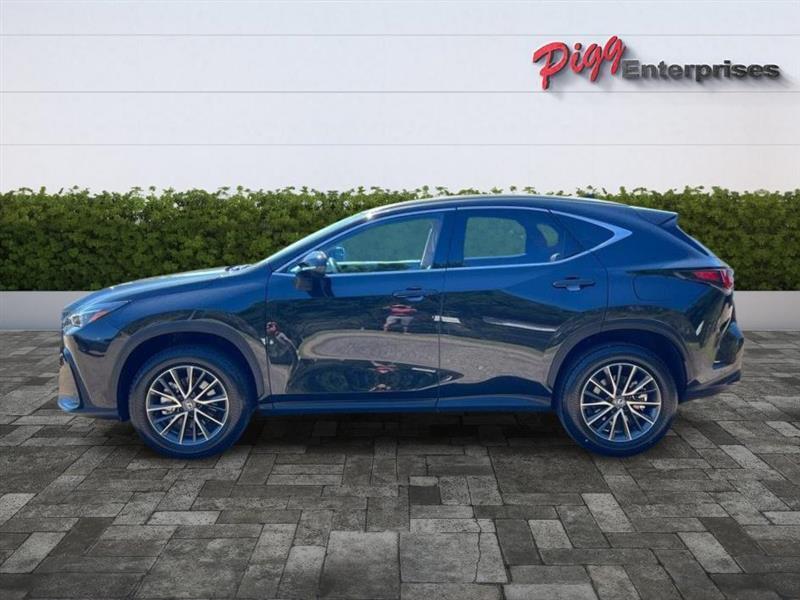 Lexus NX  2025