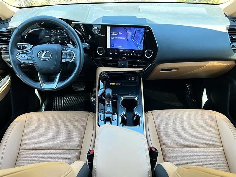 Lexus NX  2025