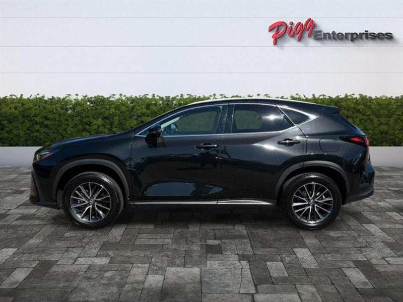 Lexus NX  2025