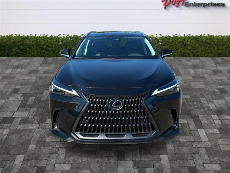Lexus NX  2025
