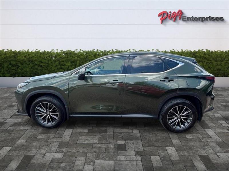 Lexus NX  2024