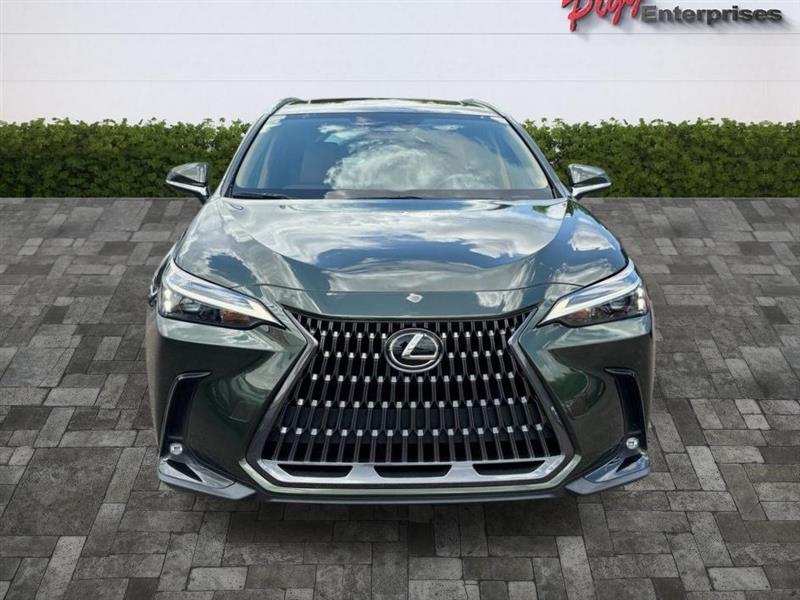 Lexus NX  2024