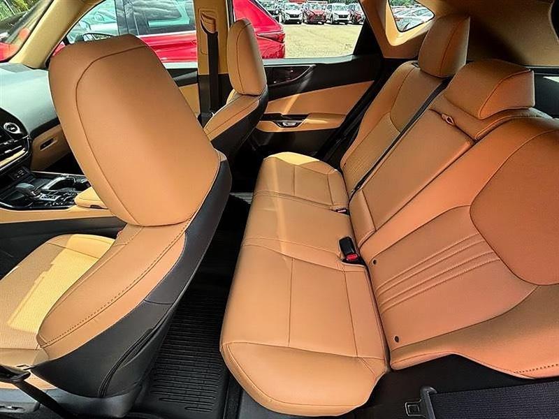 Lexus NX  2024