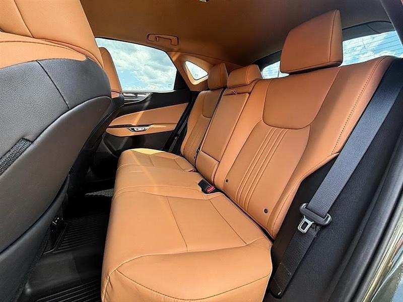 Lexus NX  2024