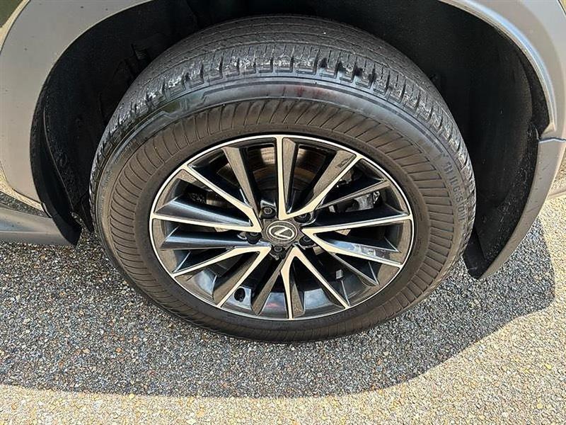 Lexus NX  2024