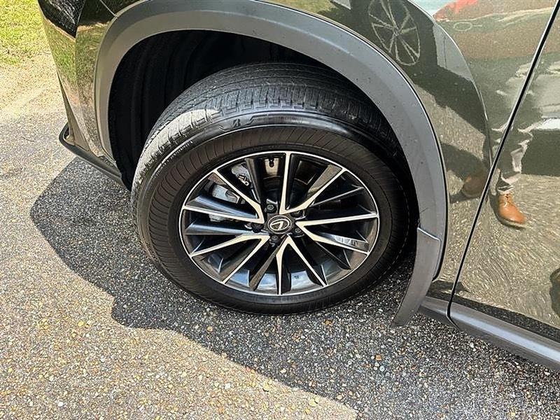 Lexus NX  2024