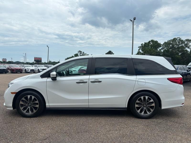 Honda Odyssey  2022