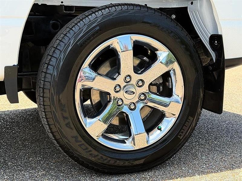 Ford F-150  2023
