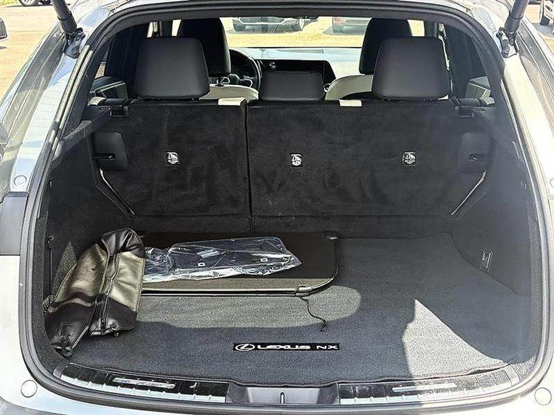 Lexus NX  2023