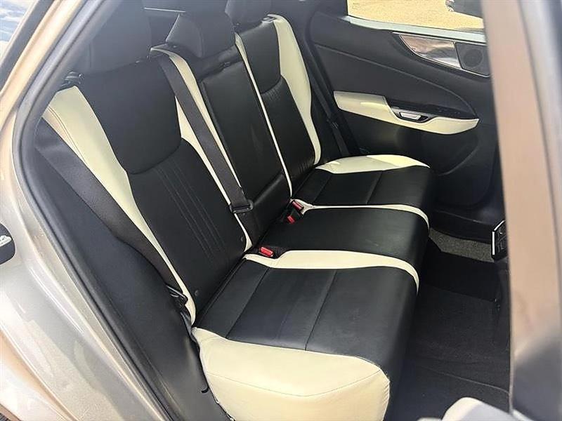 Lexus NX  2023