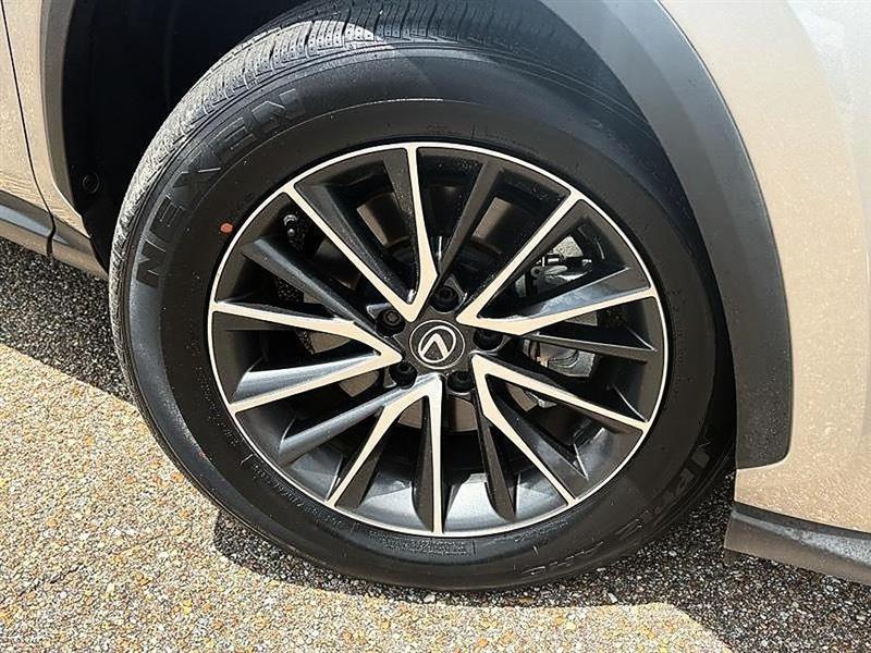 Lexus NX  2023